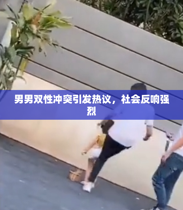 男男双性冲突引发热议，社会反响强烈