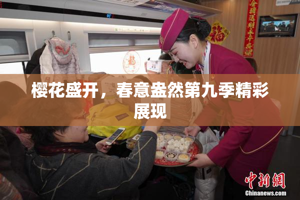 樱花盛开，春意盎然第九季精彩展现
