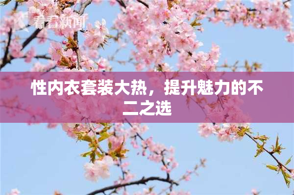 性内衣套装大热，提升魅力的不二之选
