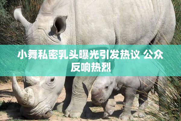 小舞私密乳头曝光引发热议 公众反响热烈