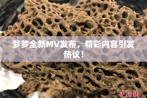 梦梦全新MV发布，精彩内容引发热议！