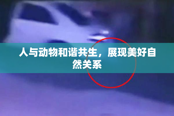 人与动物和谐共生，展现美好自然关系