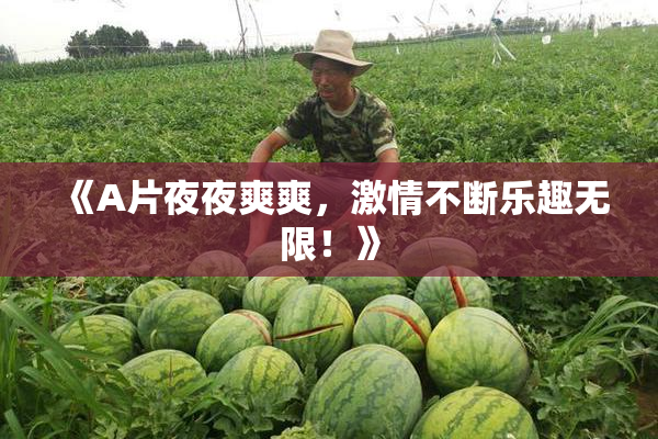 《A片夜夜爽爽，激情不断乐趣无限！》