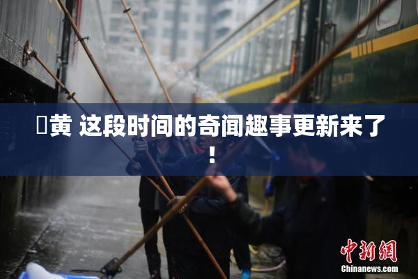 ✿黄 这段时间的奇闻趣事更新来了！