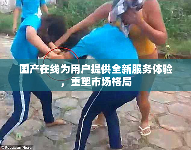 国产在线为用户提供全新服务体验，重塑市场格局