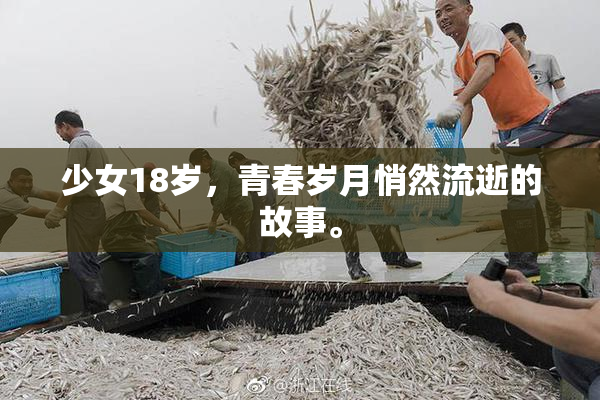 少女18岁，青春岁月悄然流逝的故事。