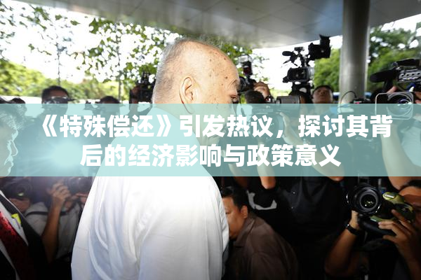 《特殊偿还》引发热议，探讨其背后的经济影响与政策意义