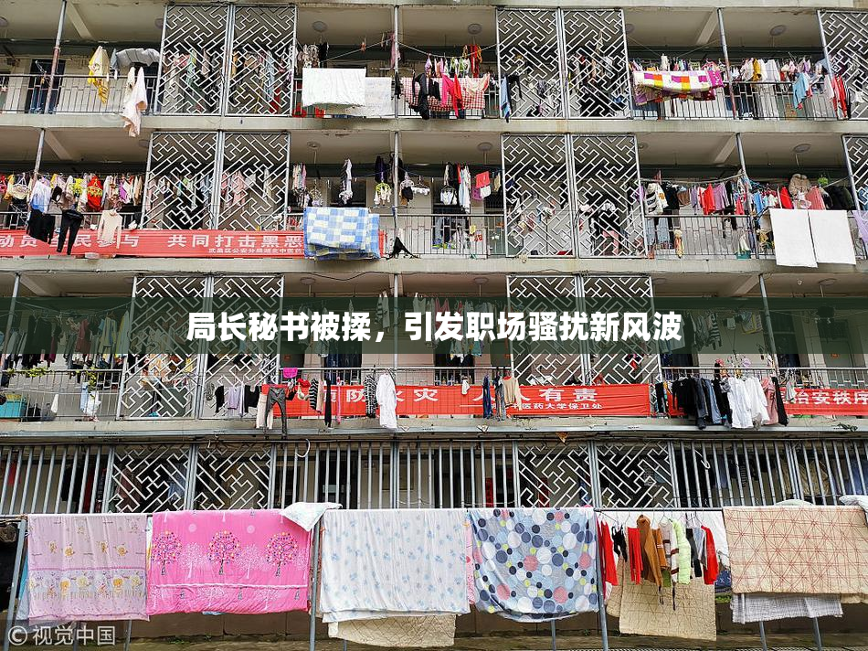 局长秘书被揉，引发职场骚扰新风波