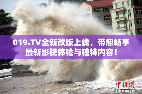 019.TV全新改版上线，带您畅享最新影视体验与独特内容！
