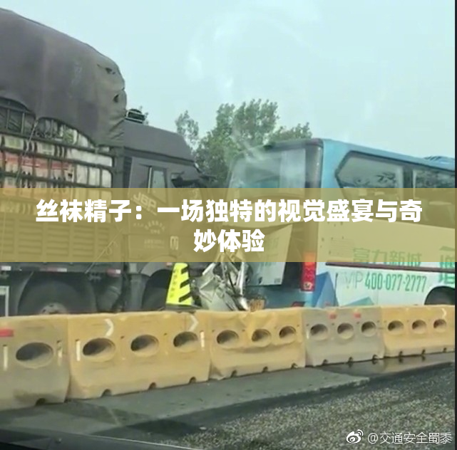 丝袜精子：一场独特的视觉盛宴与奇妙体验
