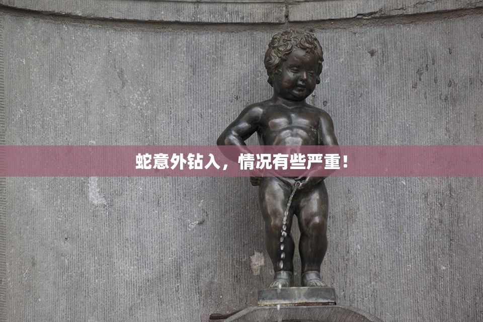 蛇意外钻入，情况有些严重！