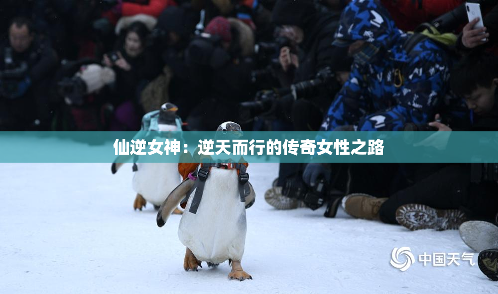 仙逆女神：逆天而行的传奇女性之路