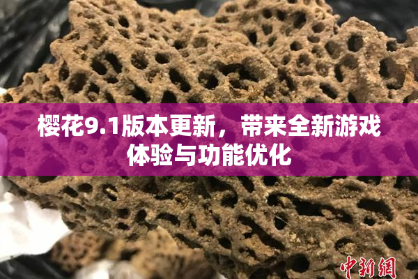 樱花9.1版本更新，带来全新游戏体验与功能优化