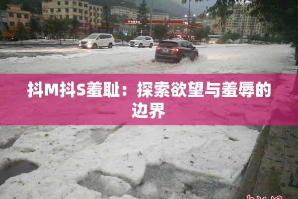 抖M抖S羞耻：探索欲望与羞辱的边界
