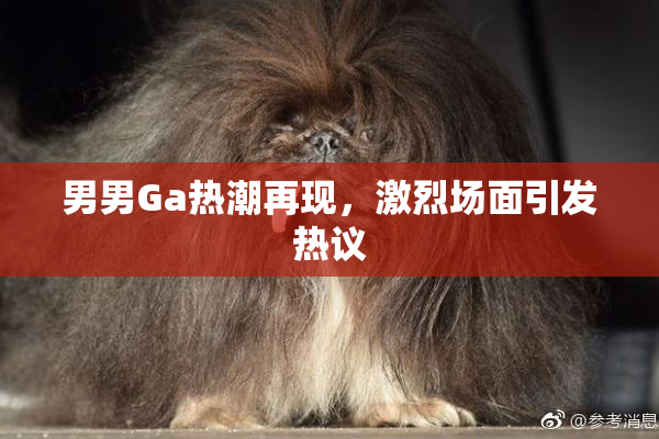 男男Ga热潮再现，激烈场面引发热议