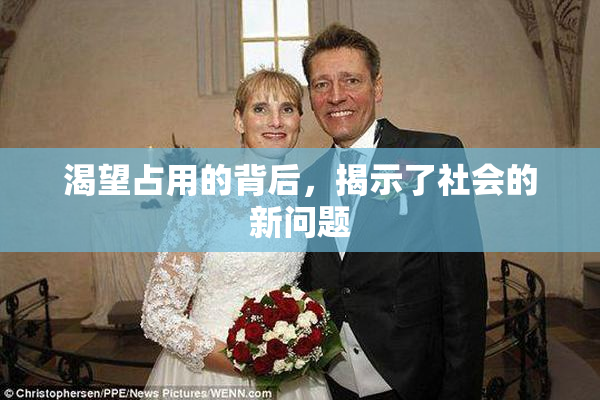 渴望占用的背后，揭示了社会的新问题