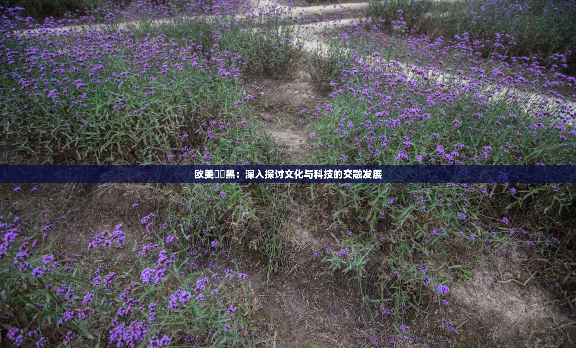 欧美❌‌黑：深入探讨文化与科技的交融发展