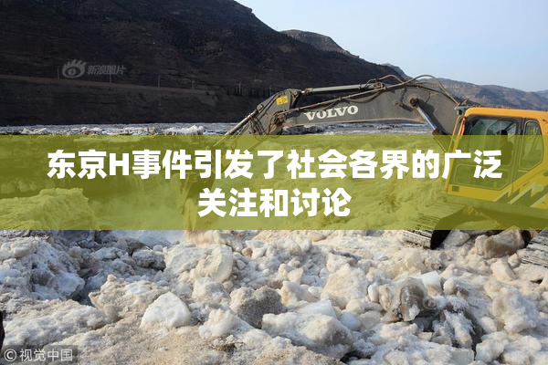 东京H事件引发了社会各界的广泛关注和讨论