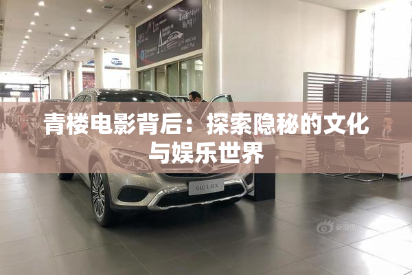 青楼电影背后：探索隐秘的文化与娱乐世界