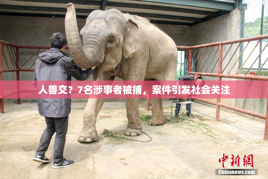 人兽交？7名涉事者被捕，案件引发社会关注