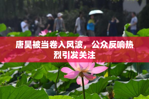 唐昊被当卷入风波，公众反响热烈引发关注