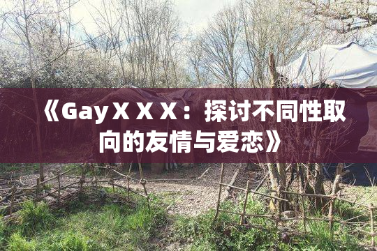 《GayⅩⅩⅩ：探讨不同性取向的友情与爱恋》