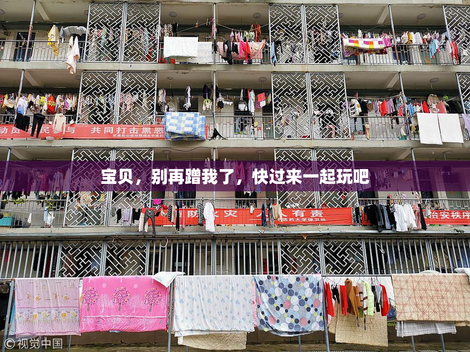 宝贝，别再蹭我了，快过来一起玩吧