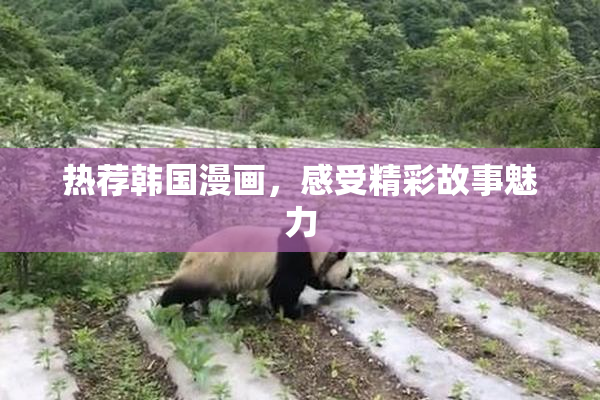 热荐韩国漫画，感受精彩故事魅力