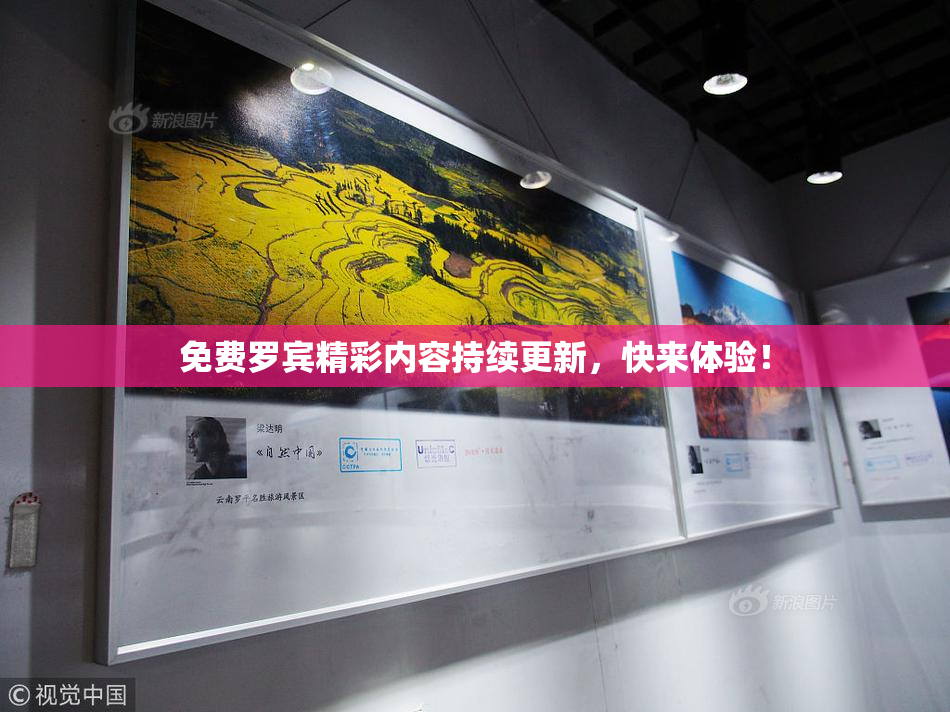 免费罗宾精彩内容持续更新，快来体验！