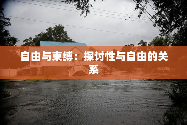 自由与束缚：探讨性与自由的关系