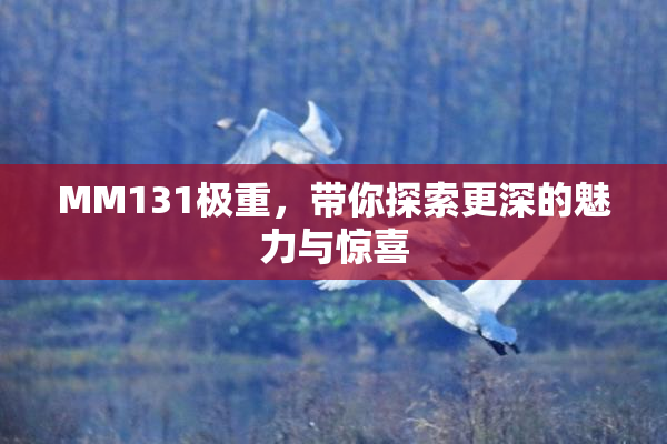 MM131极重，带你探索更深的魅力与惊喜