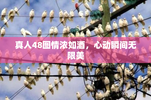 真人48图情浓如酒，心动瞬间无限美