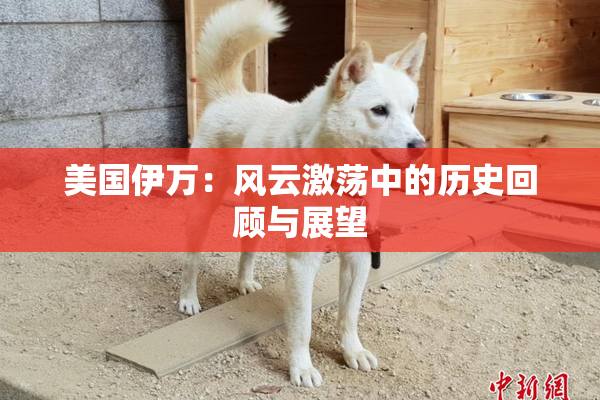 美国伊万：风云激荡中的历史回顾与展望