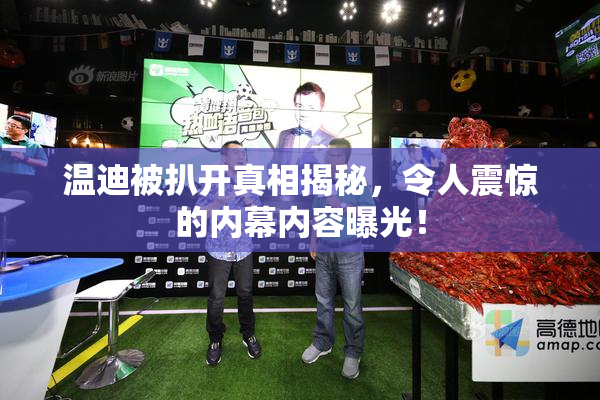 温迪被扒开真相揭秘，令人震惊的内幕内容曝光！