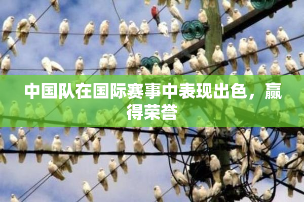 中国队在国际赛事中表现出色，赢得荣誉
