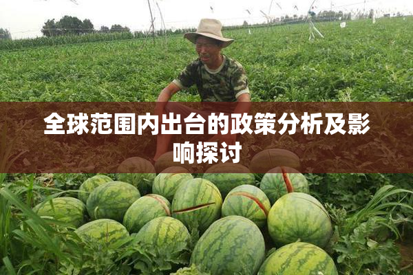 全球范围内出台的政策分析及影响探讨