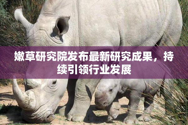 嫩草研究院发布最新研究成果，持续引领行业发展