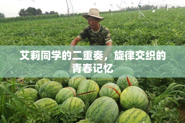 艾莉同学的二重奏，旋律交织的青春记忆