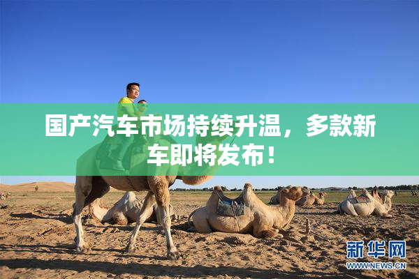 国产汽车市场持续升温，多款新车即将发布！
