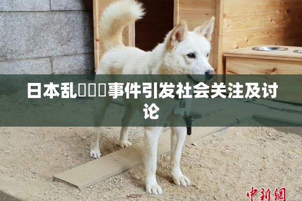 日本乱婬妺妺事件引发社会关注及讨论