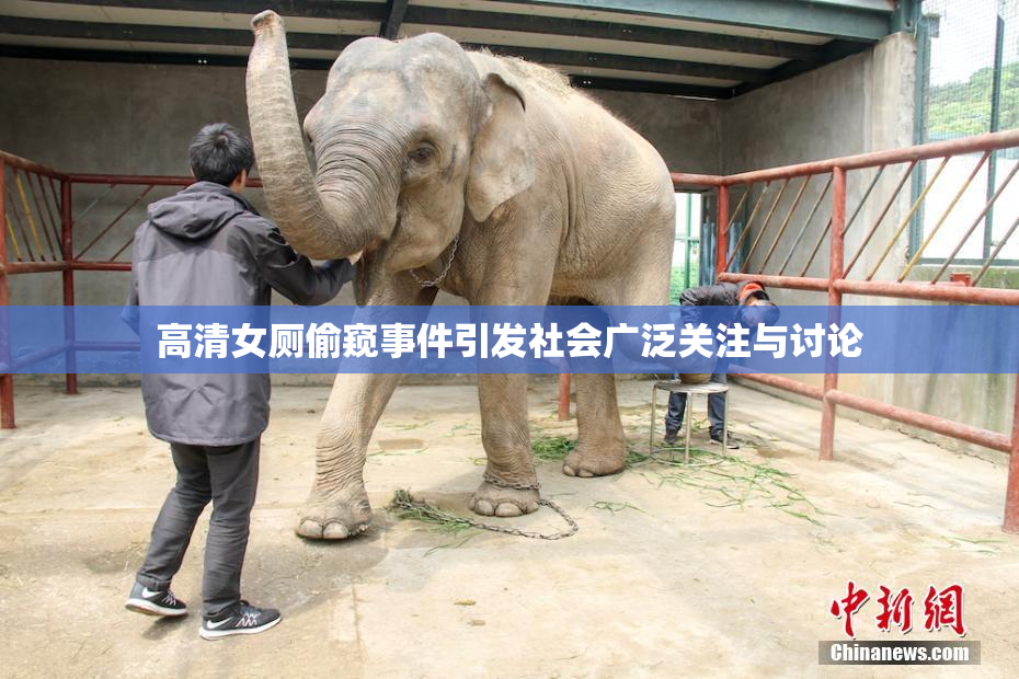 高清女厕偷窥事件引发社会广泛关注与讨论