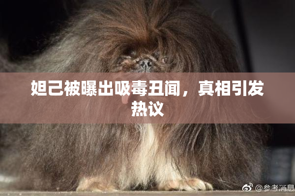 妲己被曝出吸毒丑闻，真相引发热议