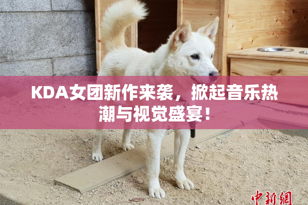 KDA女团新作来袭，掀起音乐热潮与视觉盛宴！