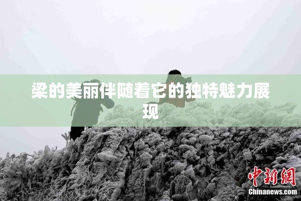 梁的美丽伴随着它的独特魅力展现