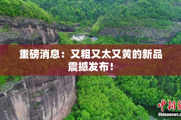 重磅消息：又粗又太又黄的新品震撼发布！
