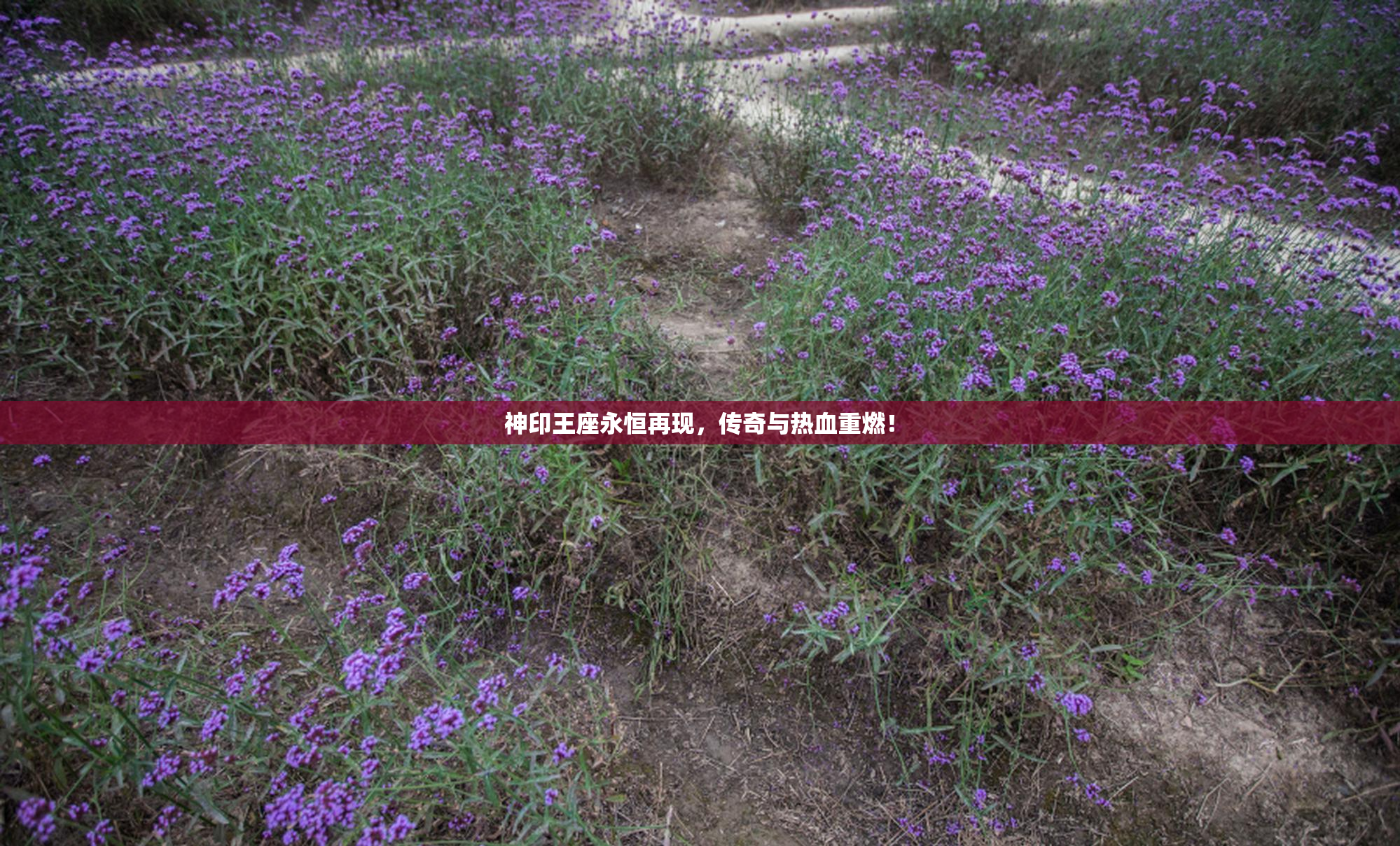 神印王座永恒再现，传奇与热血重燃！