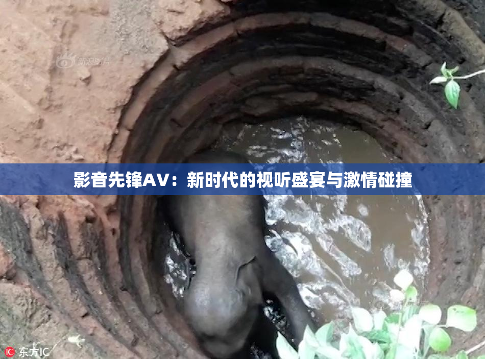影音先锋AV：新时代的视听盛宴与激情碰撞
