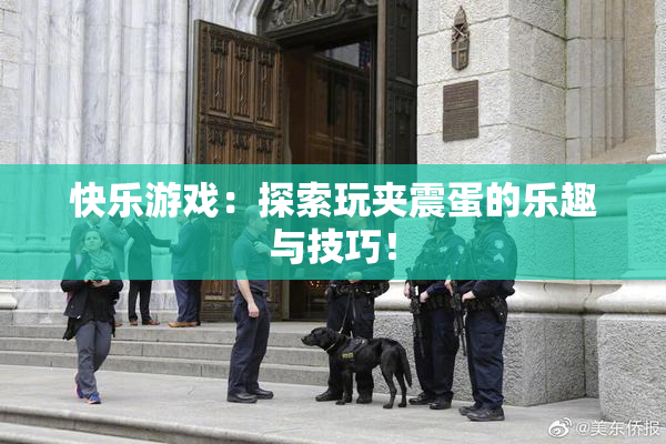 快乐游戏：探索玩夹震蛋的乐趣与技巧！