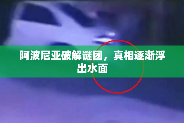 阿波尼亚破解谜团，真相逐渐浮出水面