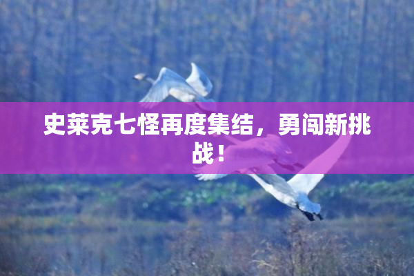 史莱克七怪再度集结，勇闯新挑战！